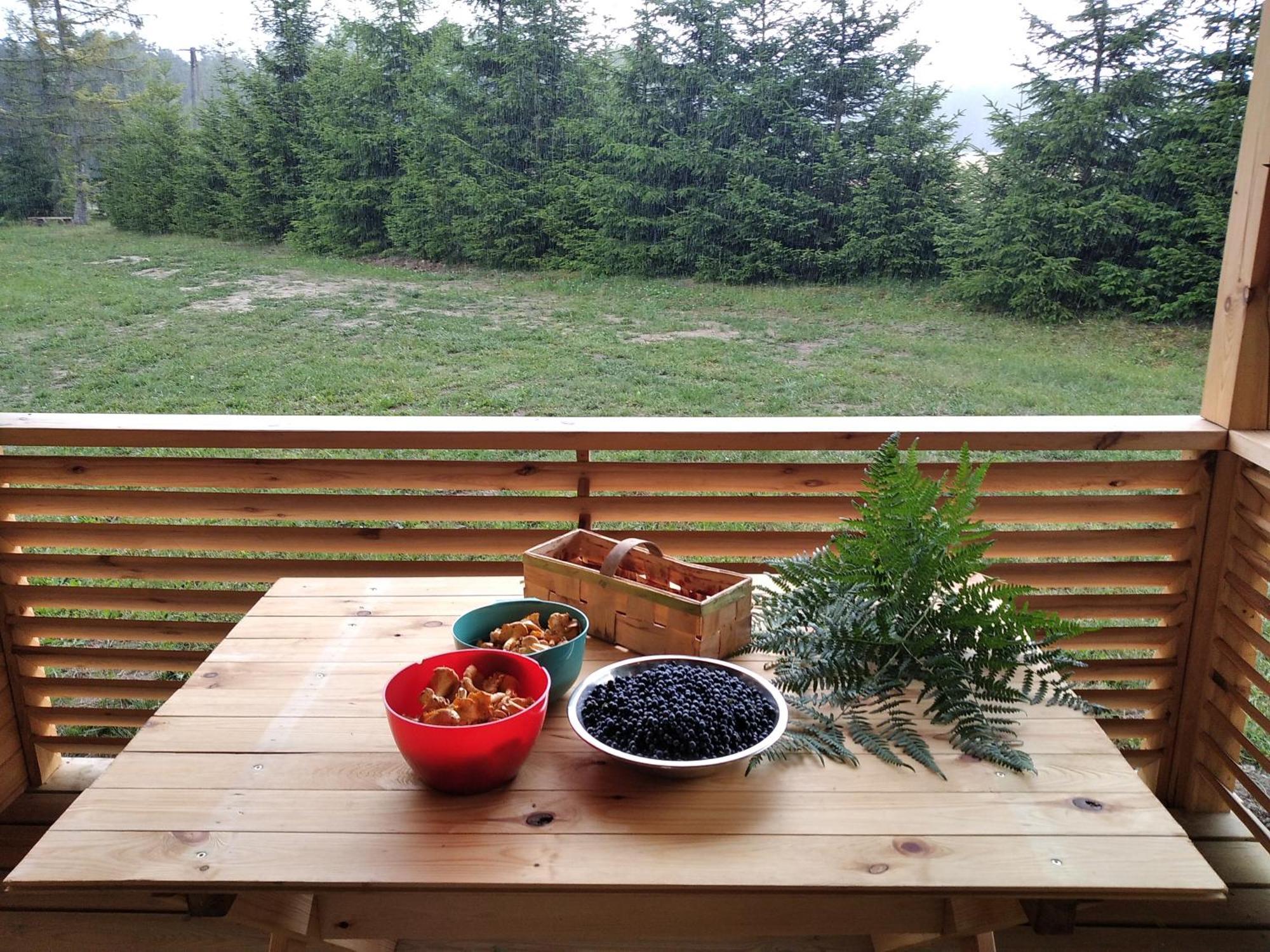 Wczasy Na Kaszubach Villa Gorki  Dış mekan fotoğraf