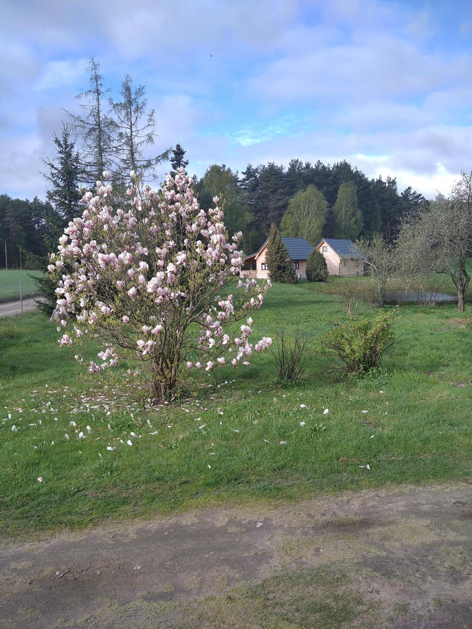 Wczasy Na Kaszubach Villa Gorki  Dış mekan fotoğraf